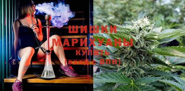 амфетамин Елизово