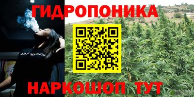 винт Гай