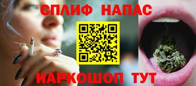стафф Гатчина