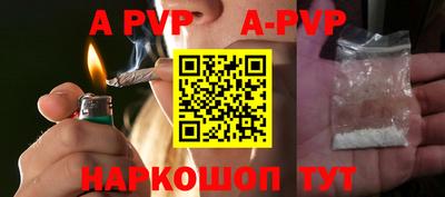 стафф Гатчина
