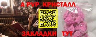 стафф Гатчина