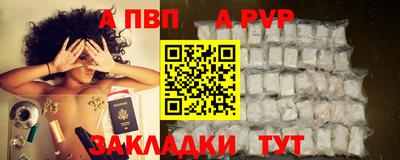 стафф Гатчина
