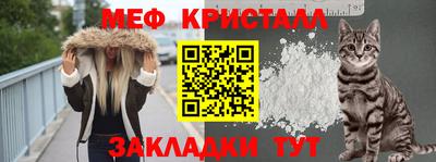 стафф Гатчина