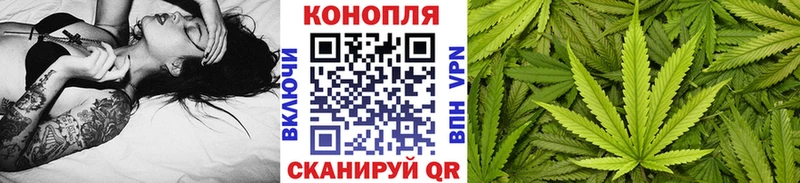 Бошки марихуана план  Изобильный 